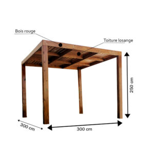 Pergola bois pour terrasse et jardin – PB02