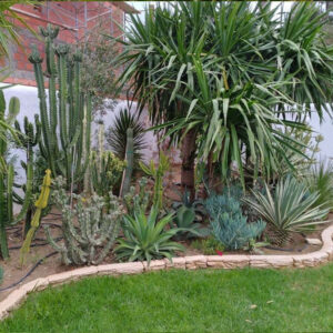 Bordure jardin en béton éclaté BJ003