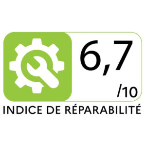 Tondeuse électrique 1400W Moteur Induction Vito