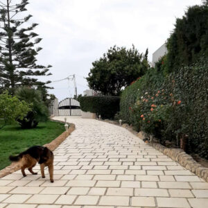 Dallage en béton fibré Lisse Réf DL1018