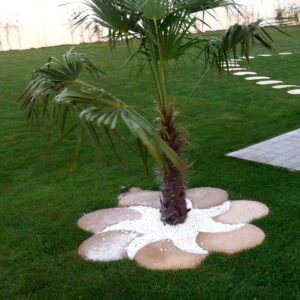 Ensemble de Pas japonais motif Lune en béton P010