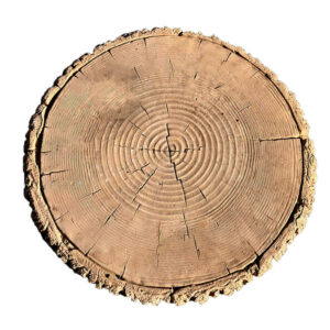 Pas japonais circulaire motif bois en béton fibré P06