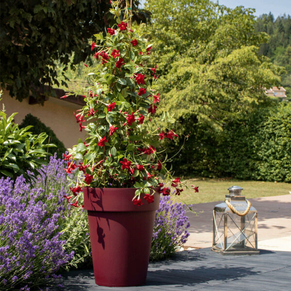 Pot conique en resine modèle toscane reel