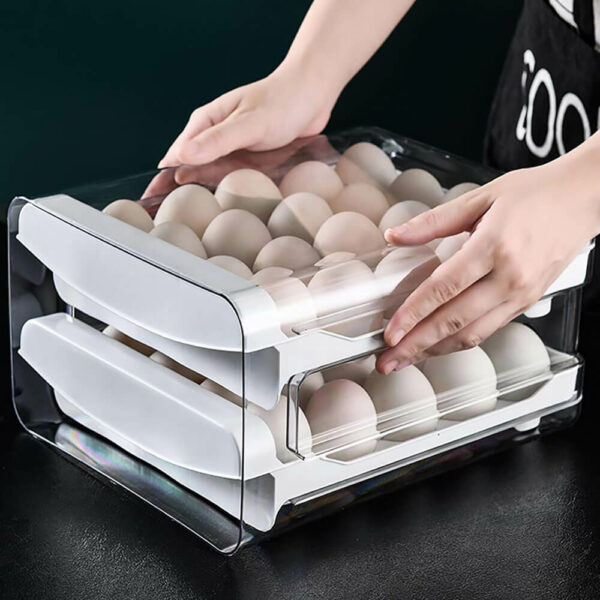 Boîte de rangement œufs 2 étages couv1