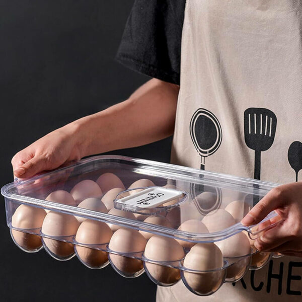 boîte de rangement pour œufs 24 couv