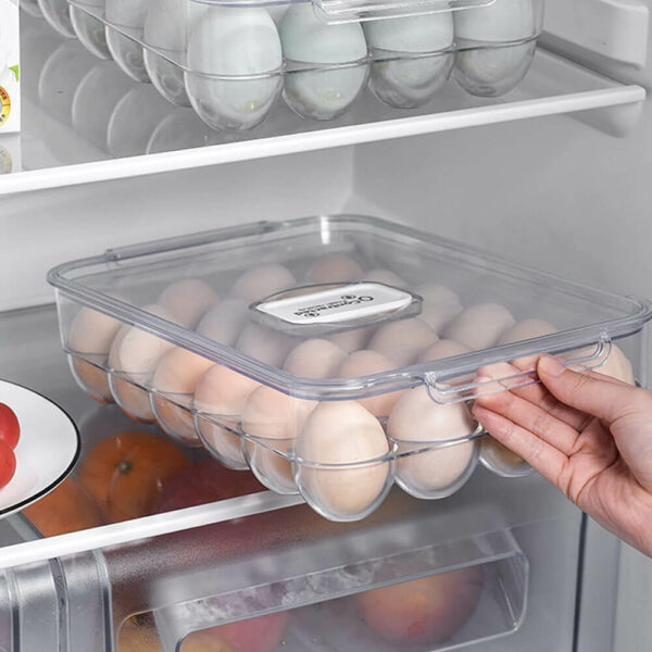 boîte de rangement pour œufs 24 couv1