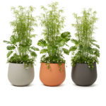 Pot de jardin ovale en béton fibré modèle LUNA50