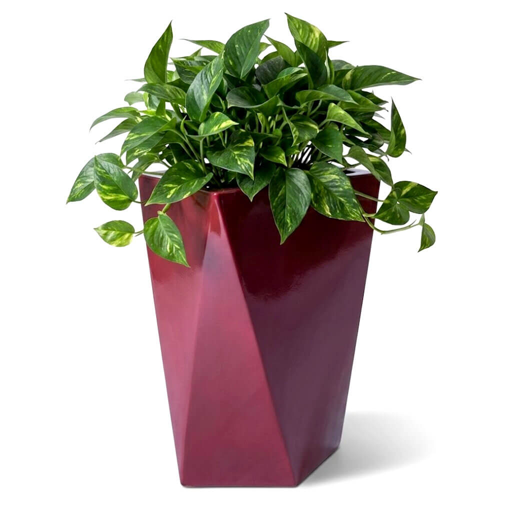 Pot colonne en resine modele S H61cm