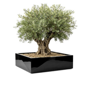 Pot géant cubique en résine pour olivier CB50120